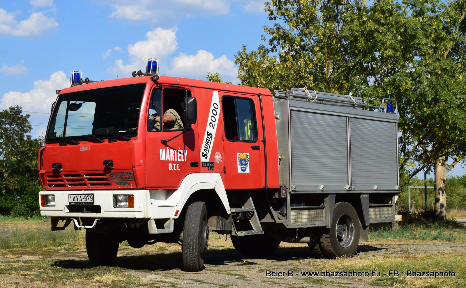 Steyr 13s23 Saurus 2000 – több féle